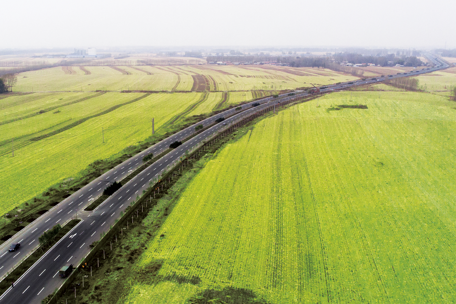mg不朽情缘(中国)官方网站