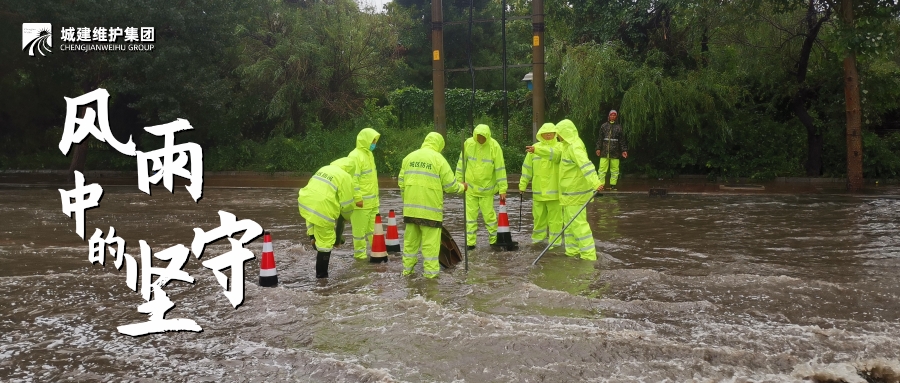 mg不朽情缘(中国)官方网站
