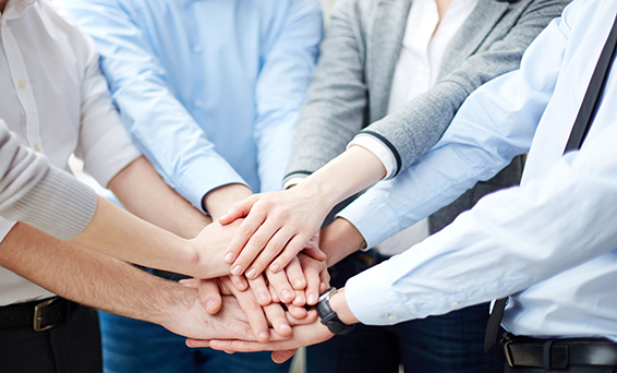 mg不朽情缘(中国)官方网站