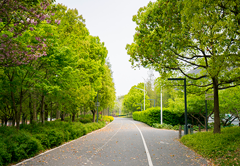 mg不朽情缘(中国)官方网站